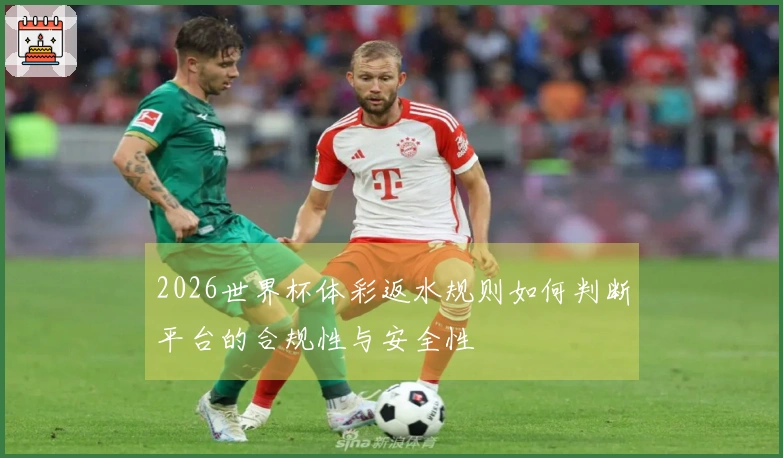 2026世界杯体彩返水规则如何判断平台的合规性与安全性