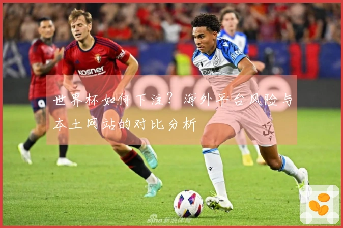 世界杯如何下注？海外平台风险与本土网站的对比分析