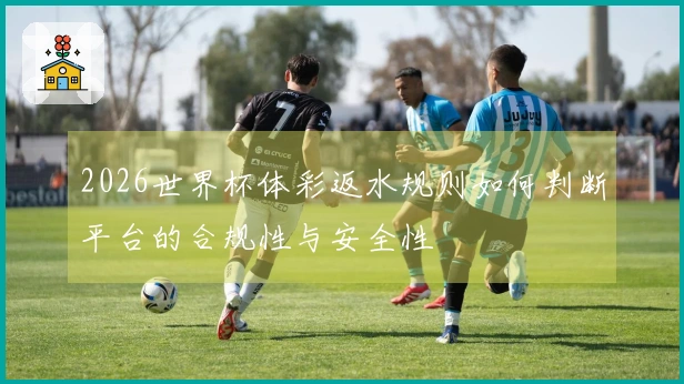 2026世界杯体彩返水规则如何判断平台的合规性与安全性