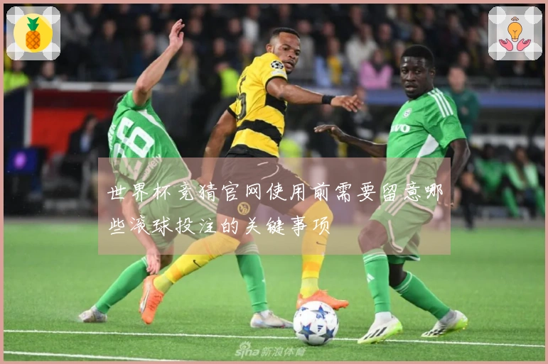 世界杯竞猜官网使用前需要留意哪些滚球投注的关键事项