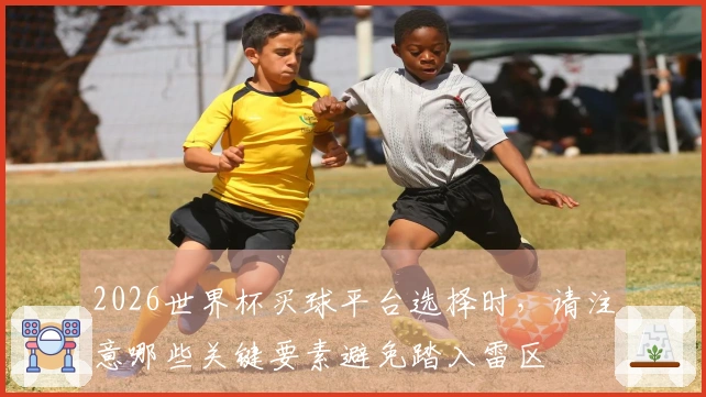 2026世界杯买球平台选择时，请注意哪些关键要素避免踏入雷区