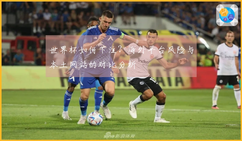 世界杯如何下注？海外平台风险与本土网站的对比分析