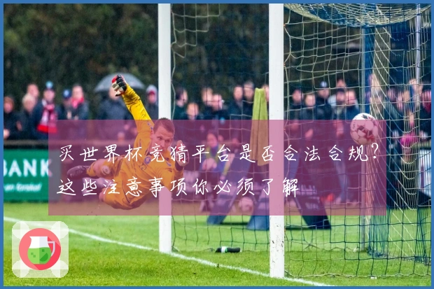 买世界杯竞猜平台是否合法合规？这些注意事项你必须了解
