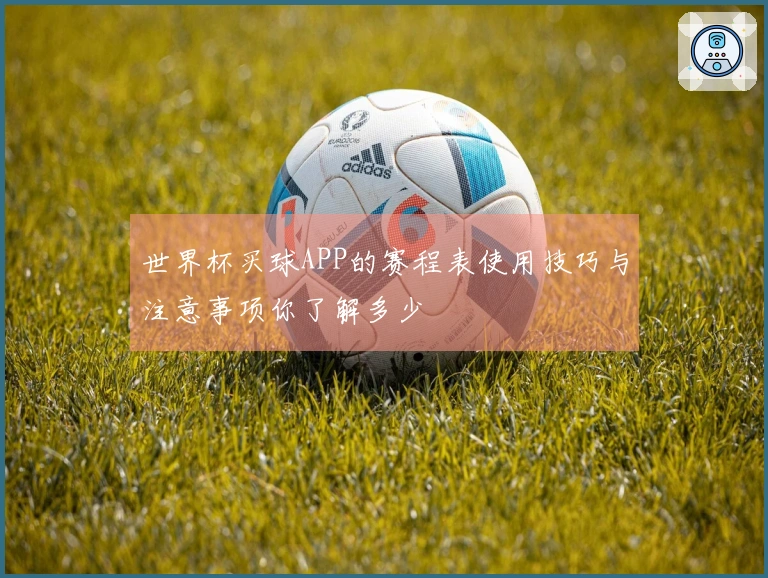 世界杯买球APP的赛程表使用技巧与注意事项你了解多少