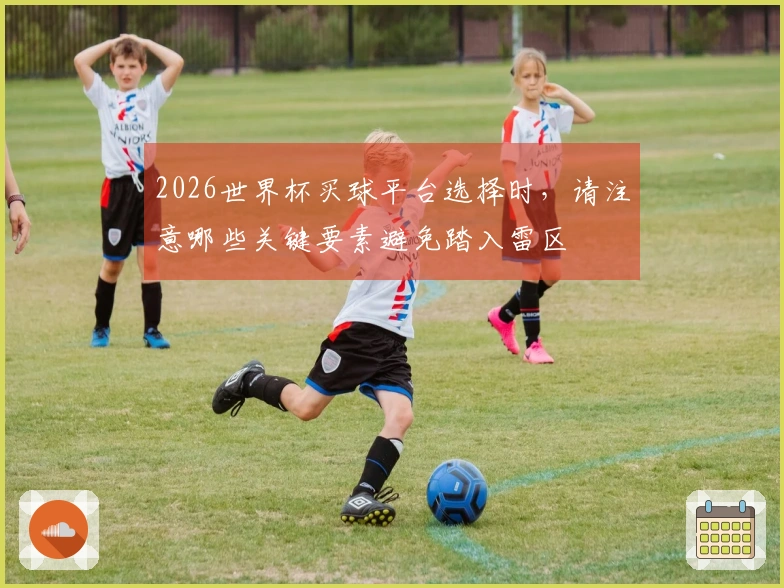 2026世界杯买球平台选择时，请注意哪些关键要素避免踏入雷区